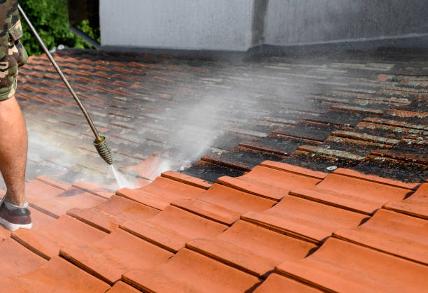 Best House Pressure Washing  in Louisvle, IL