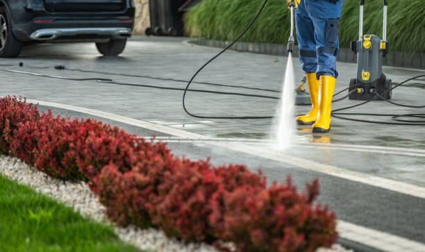 Best Roof Pressure Washing  in Louisvle, IL